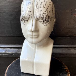 Phrenology Head Bookends